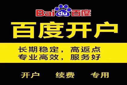 百度竞价账户托管：优化广告投放策略案例